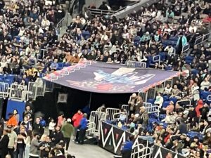 banners spurs