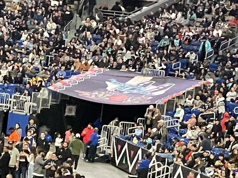 banners spurs