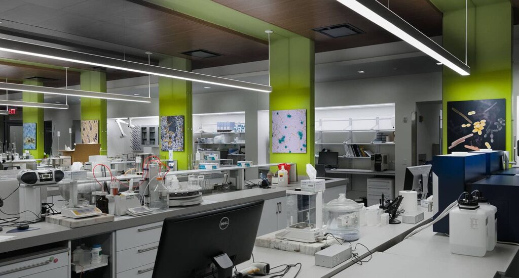 fine art reproductions ansen seale art