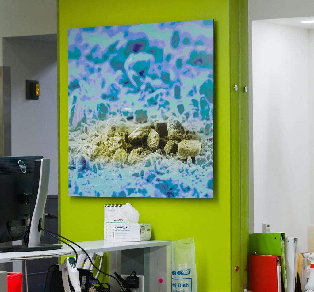 fine art reproductions ansen seale art