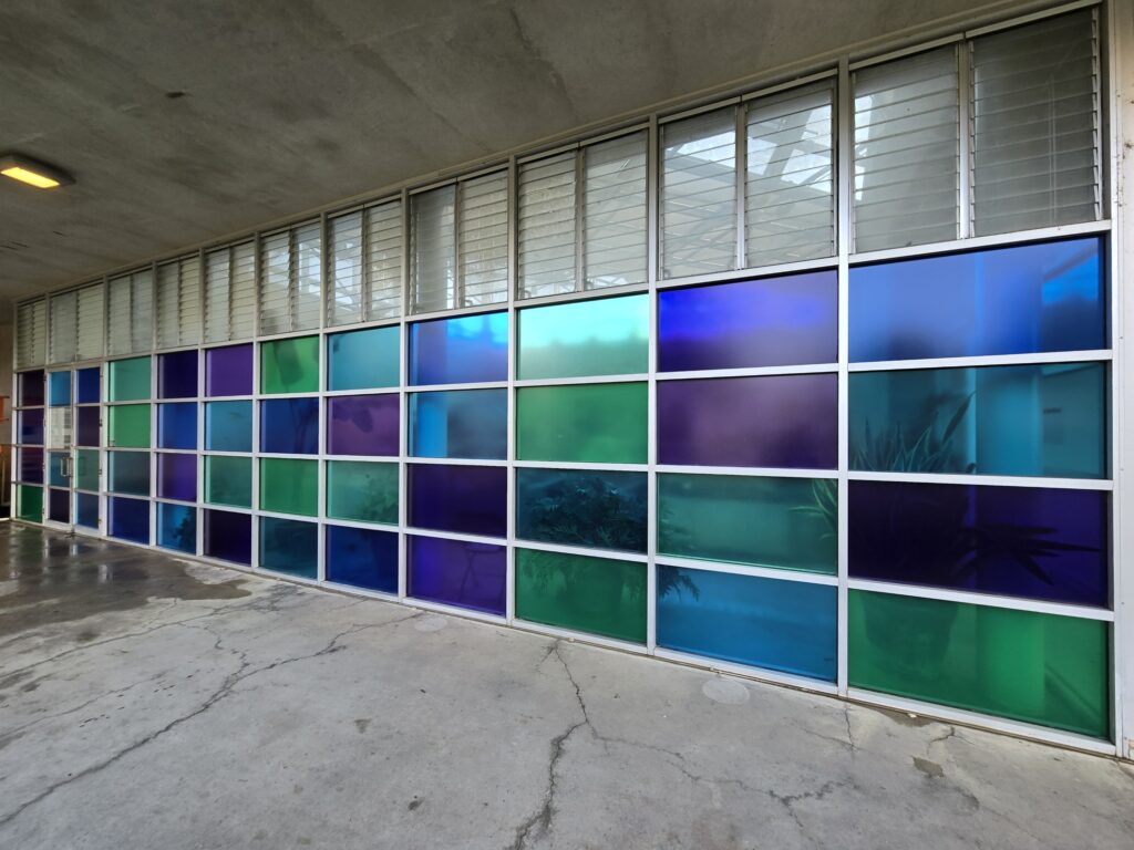 translucent window graphics