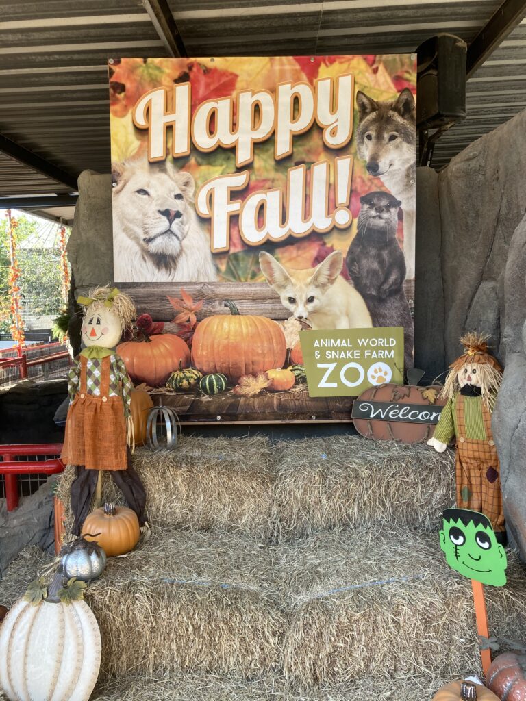 zoo seasonal banner
